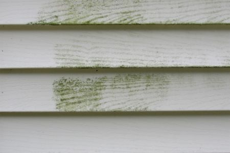 How Soft Washing Removes Algae
