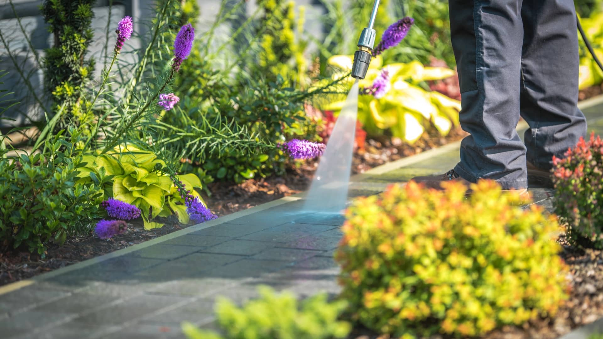 Wrightlook Pressure Washing Company Background