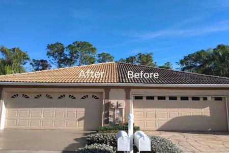 Palm Harbor, FL