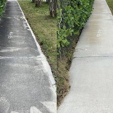 Pressure-washing-riverview-exterior-cleaning 0