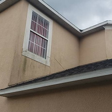 Professional Soft Washing in Lakeland, Florida 0