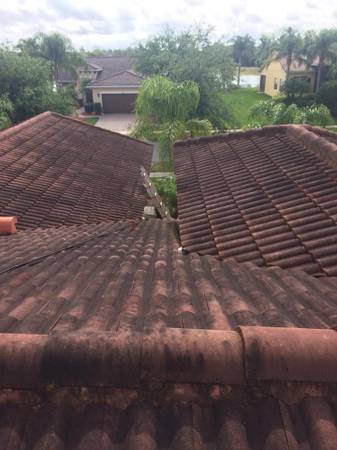 Roof Cleaning in Lakeland , FL