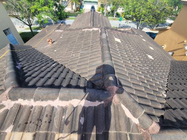 Roof cleaning in Sarasota, FL