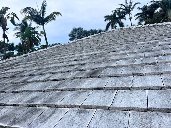 Roof Cleaning in Tampa, Florida