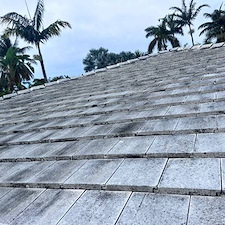 Roof Cleaning in Tampa, Florida 1