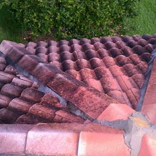 Professional Roof Cleaning in Wesley Chapel, FL 1