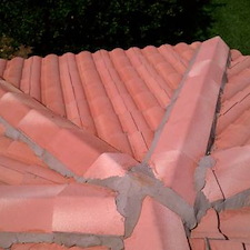 Professional Roof Cleaning in Wesley Chapel, FL 2