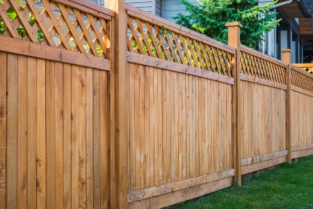 Fence Cleaning Service Image