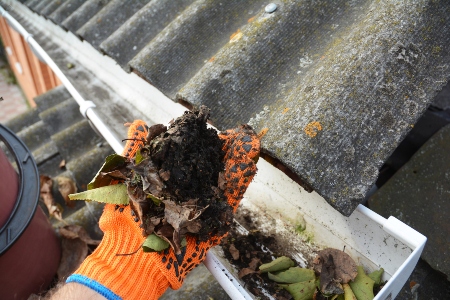 Gutter Cleaning Service Image